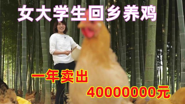 女大学生回乡养鸡，一只鸡能卖到238元，巧用两招年销售达四千万，鸡的销路怎么找！