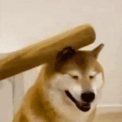 【避坑指南】流量卡套路陷阱！无限流量卡？！别天真了！附：高性价比流量卡清单